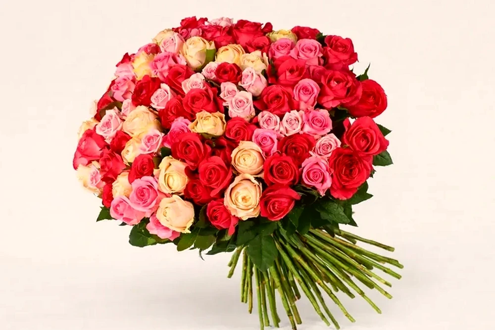 Amor Perfeito (100 Rosas Colombianas)
