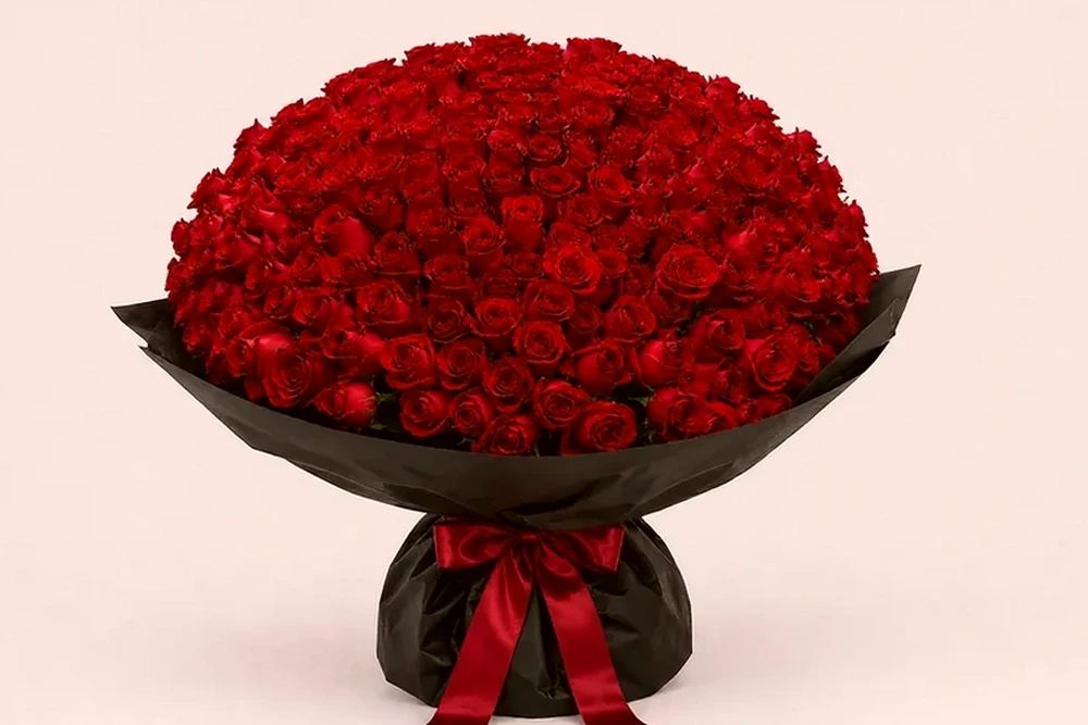 Buquê Premium com 300 Rosas Vermelhas Colombianas