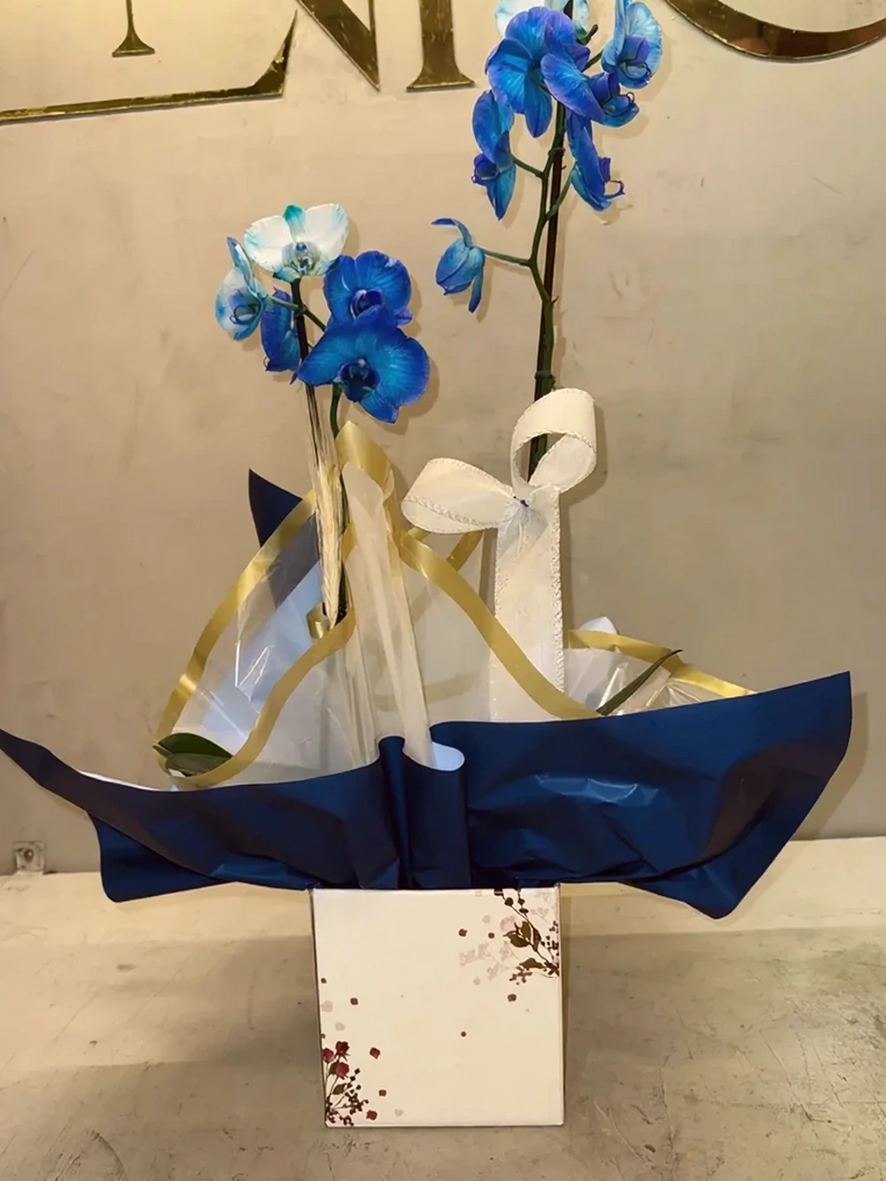 Orquídea Azul com Embalagem Elegante