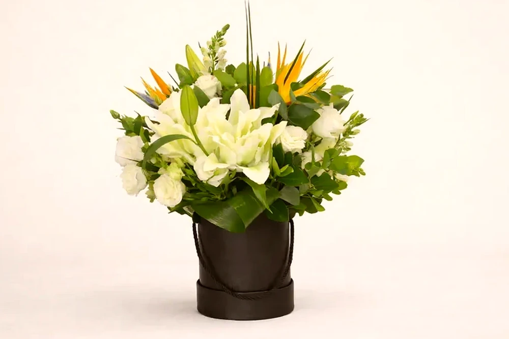 Arranjo de Flores Exóticas em Caixa Preta - Elegância e Distinção