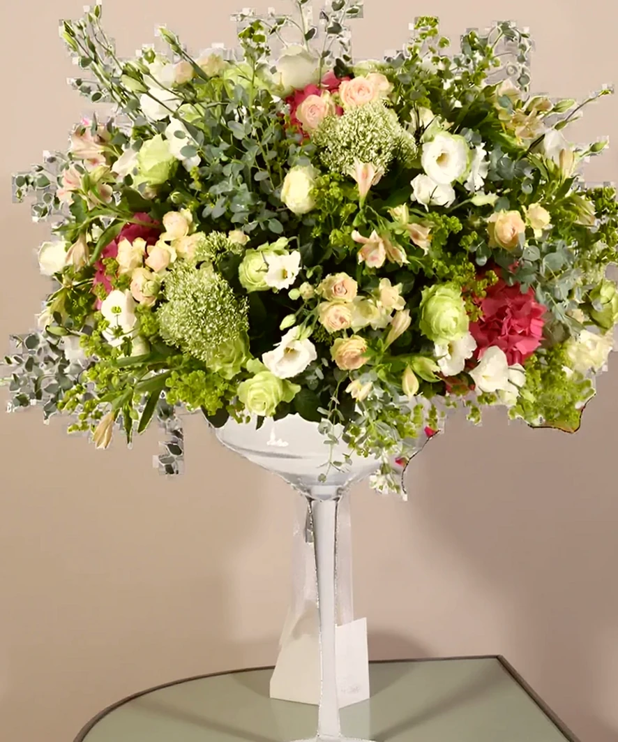 Elegância Suprema