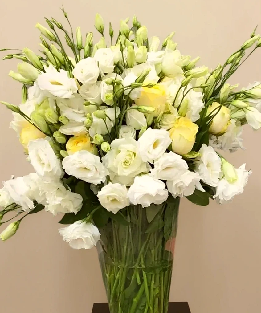 Felicidade Branca Lisianthus com Vaso vidro
