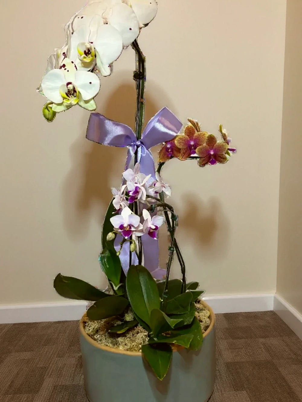 Arranjo Elegante de Três Orquídeas em Vaso de Cerâmica