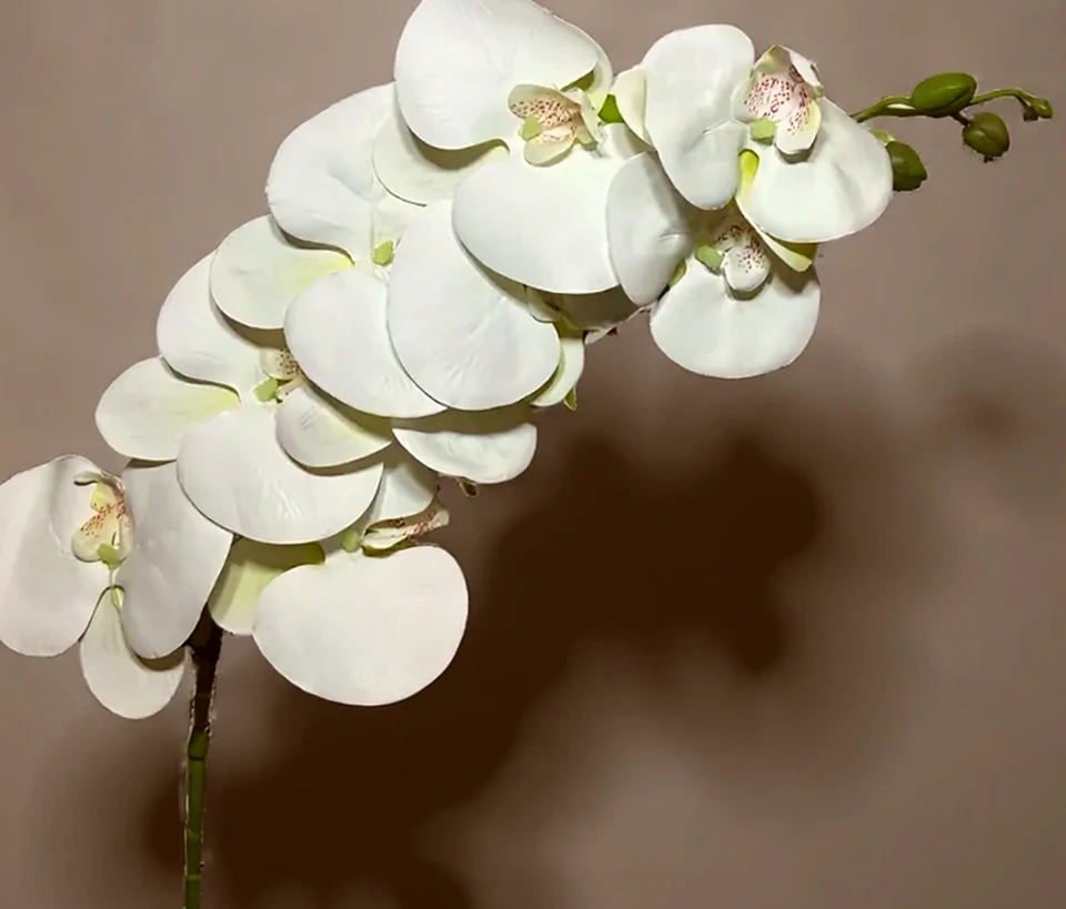 Orquídea Atificial