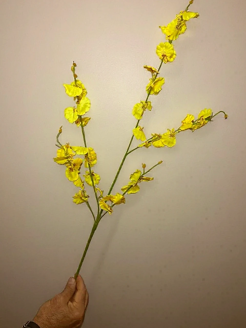 Orquídea Chuva de Ouro Artificial