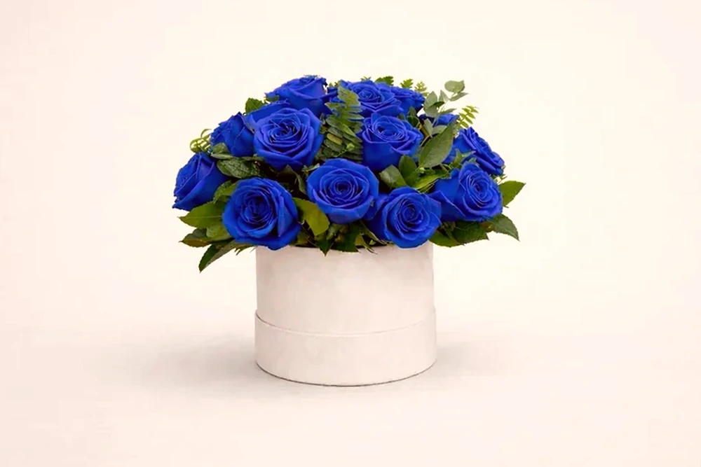 Caixa Azul Royal – 25 Rosas Azuis